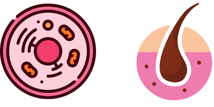 Citología y Dermatología